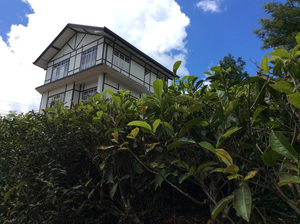 Tealeaf Acomodação com café da manhã Nuwara Eliya Exterior foto