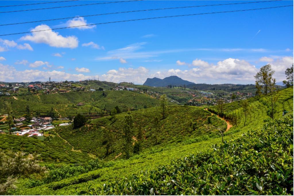 Tealeaf Acomodação com café da manhã Nuwara Eliya Exterior foto