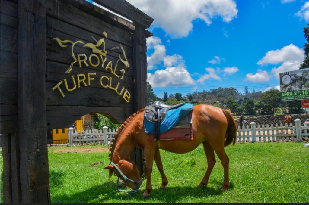Tealeaf Acomodação com café da manhã Nuwara Eliya Exterior foto
