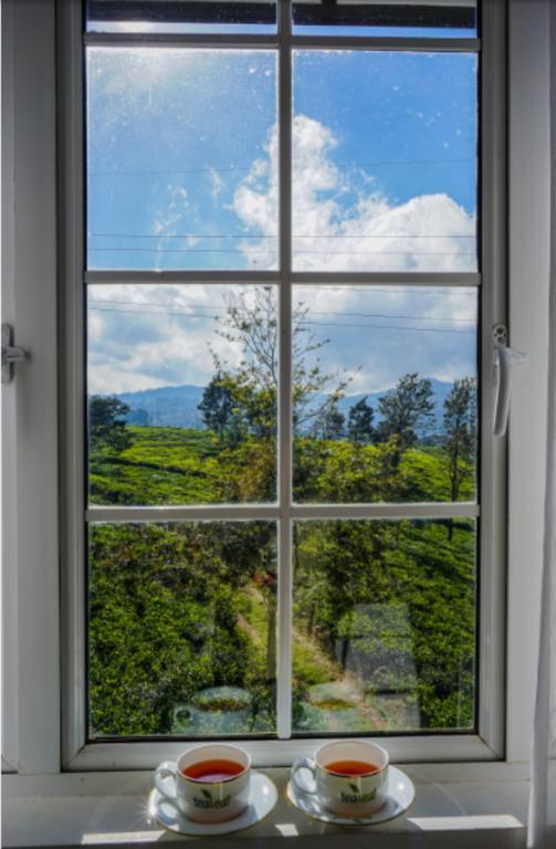 Tealeaf Acomodação com café da manhã Nuwara Eliya Exterior foto