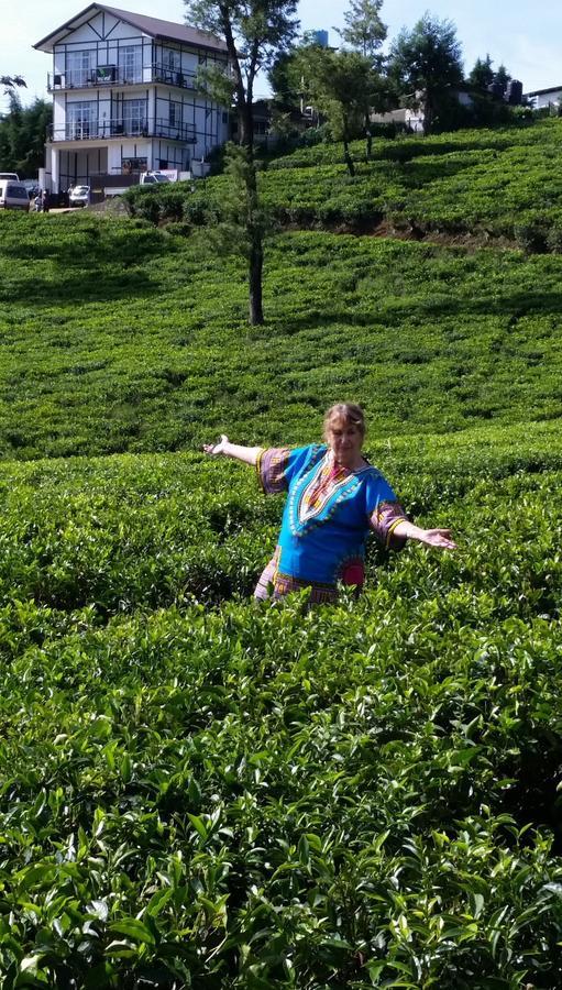 Tealeaf Acomodação com café da manhã Nuwara Eliya Exterior foto